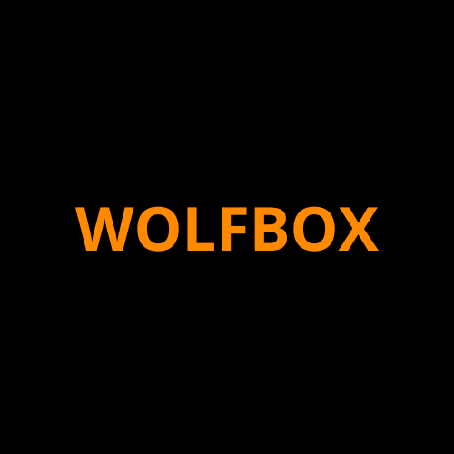 Wolfbox Screen ProTech Film