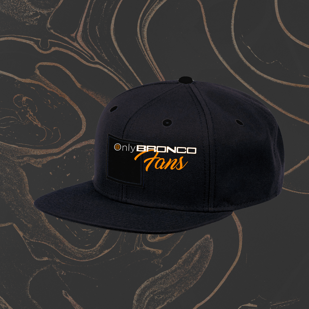 Hat - Snapback F150. Brand product photo for Screen ProTech screen protection, installation, and vehicle display care.