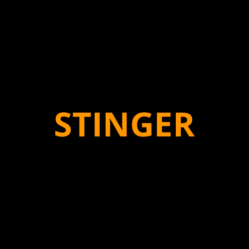 Kia Stinger Full Kit