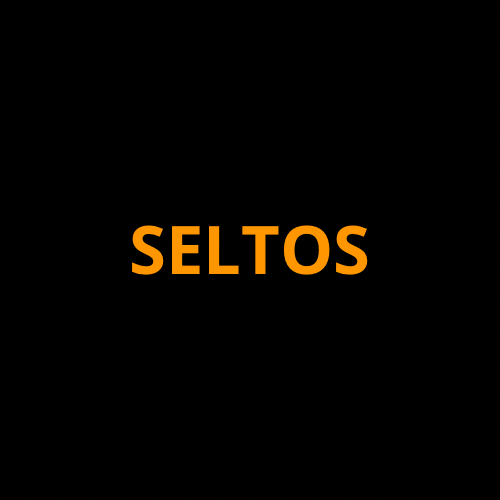 Kia Seltos Full Kit