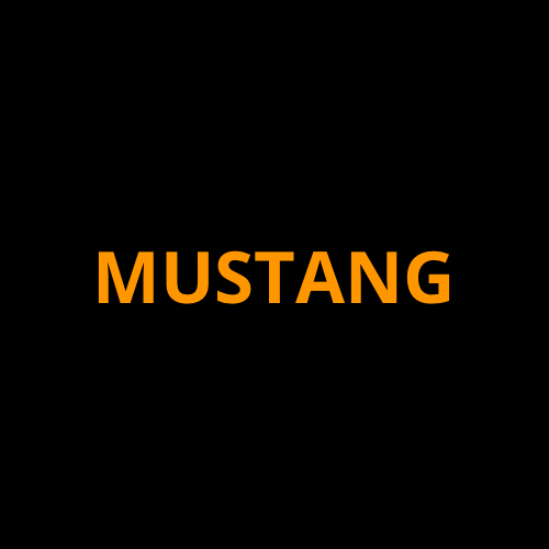 2024-2025 Ford Mustang Screen ProTech Kit Single Glass Display