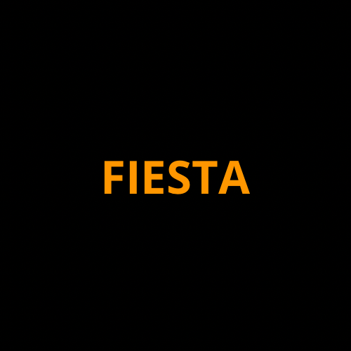 2015–2019 Ford Fiesta Screen ProTech Film
