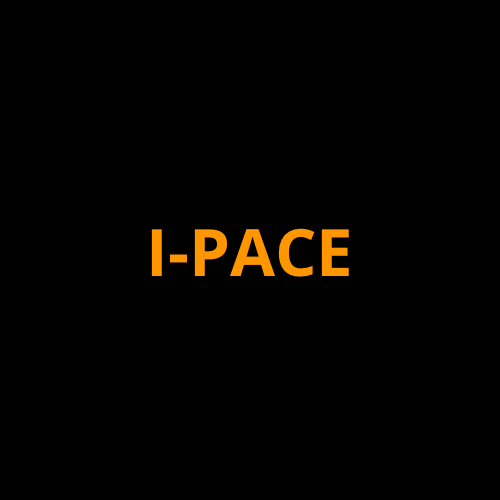 2019-2020 Jaguar I-Pace Screen ProTech Kit Standard Driver Display 10in Infotainment Climate