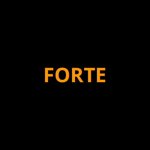 Kia Forte Full Kit