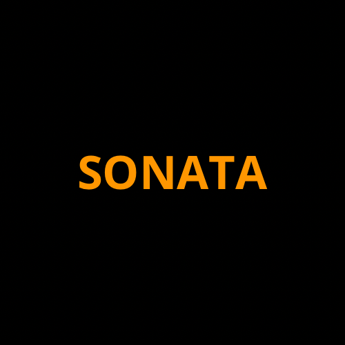 2024-2026 Hyundai Sonata Screen ProTech Kit Panoramic Display. Vehicle screen protection helps shield touchscreens and display screens from everyday wear.