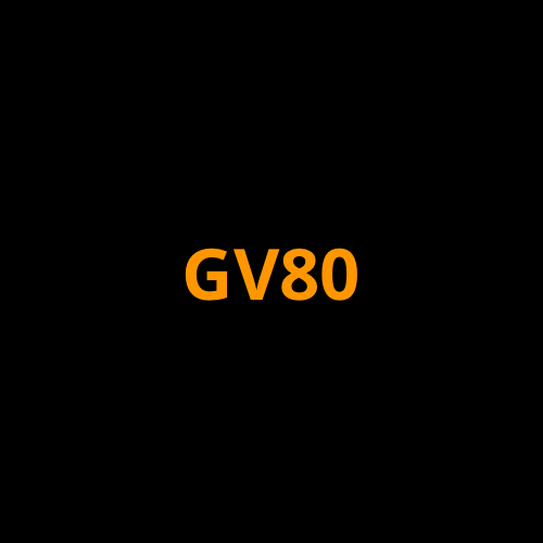 2021-2024 Genesis GV80 Screen ProTech Kit product image. Clear screen protector coverage helps guard navigation, infotainment, and digital display surfaces.