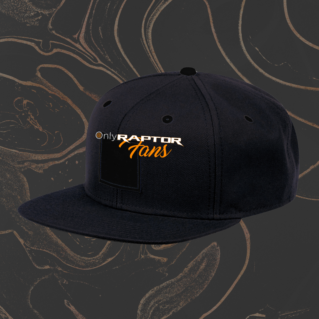 Hat - Snapback Raptor. Screen ProTech product image connected to automotive display protection and screen care.