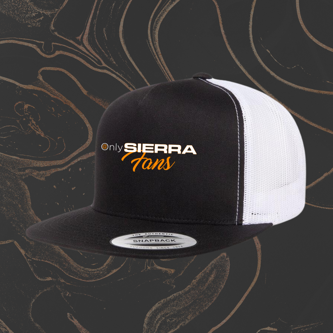 Hat - Snapback Raptor. Brand product photo for Screen ProTech screen protection, installation, and vehicle display care.