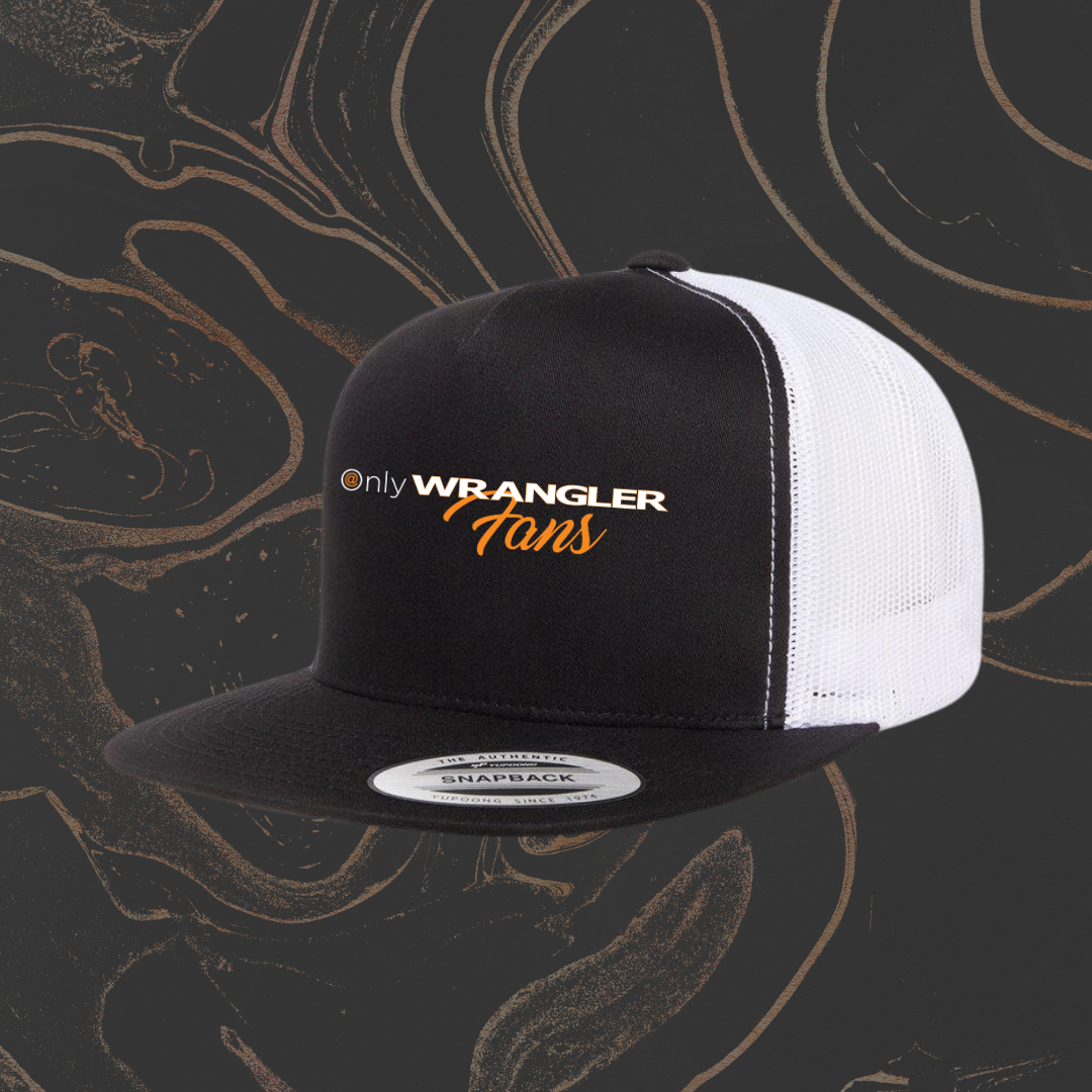 Hat - Snapback Titan. Screen ProTech branded product photo for vehicle screen protection customers and installers.