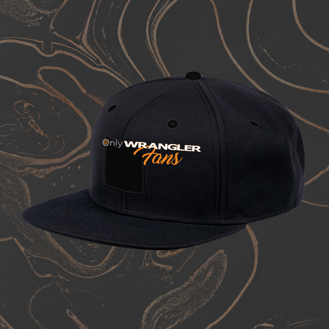 Hat - Snapback Tundra. Screen ProTech product image connected to automotive display protection and screen care.